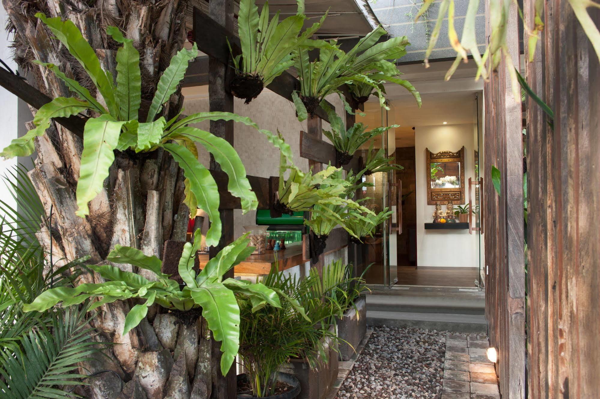 Grandmas Plus Hotel Legian Exteriör bild